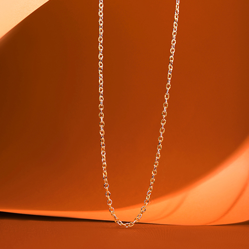 Elan Dual Gleam Gold Chain - Senco Gold and Diamonds